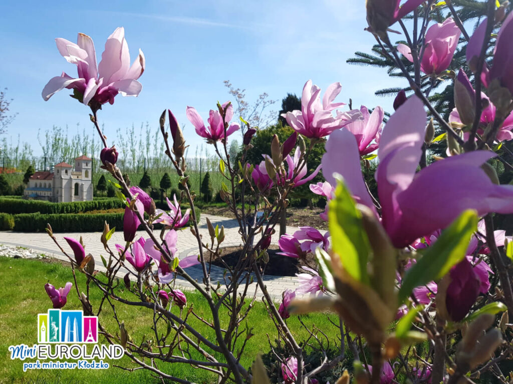 wiosna w kotlinie kłodzkiej minieuroland